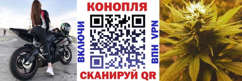 Канабис гибрид  магазин    Жирновск 